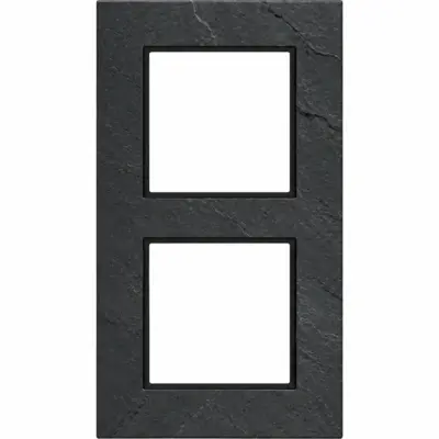 Hager Berker afdekraam 2-voudig A8 slate mat leisteen (WAD8200X11)
