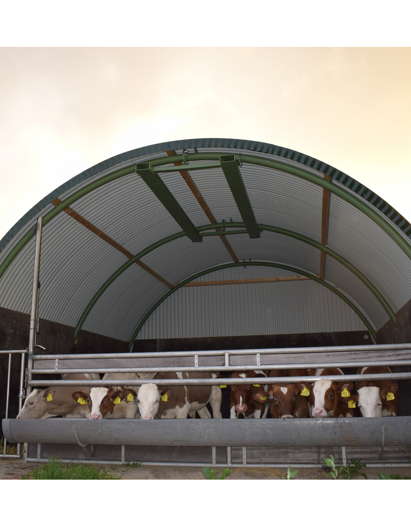 Dierenverblijf - Meerprijs stalen hijsframe