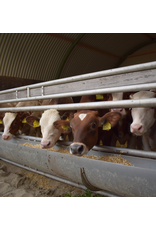 Dierenverblijf - Meerprijs stalen hekwerk