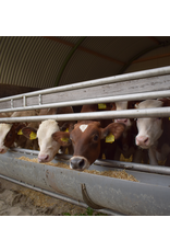 Dierenverblijf R5 Nissenhut