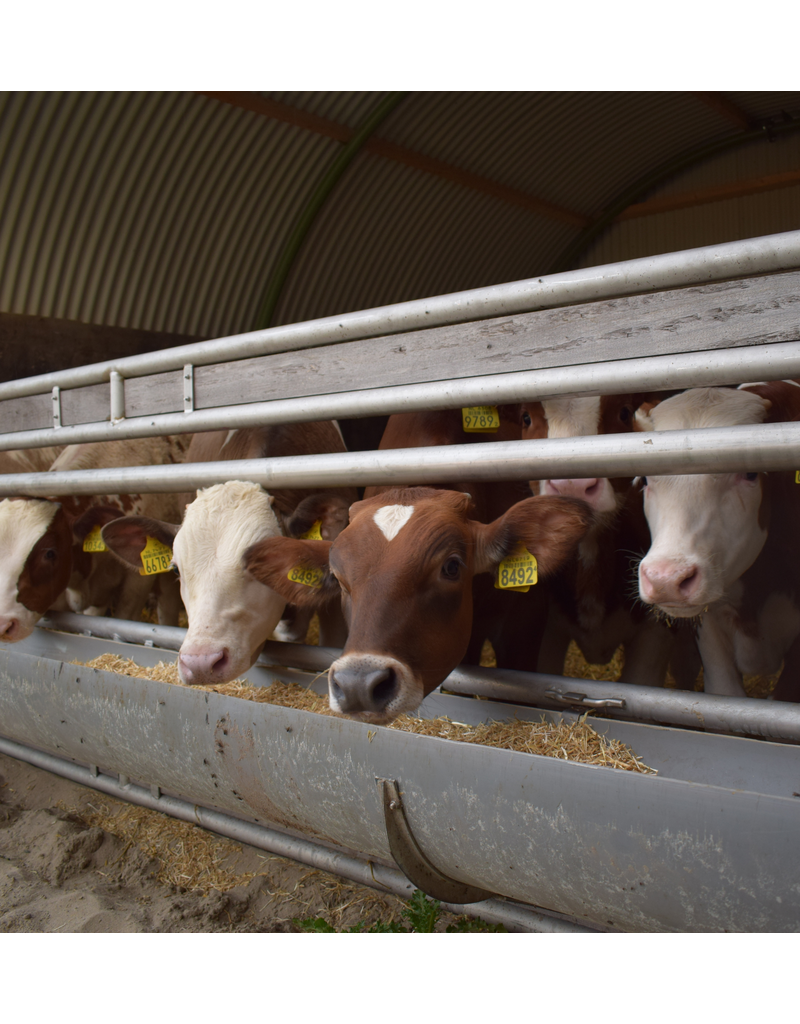 Dierenverblijf R5 Nissenhut