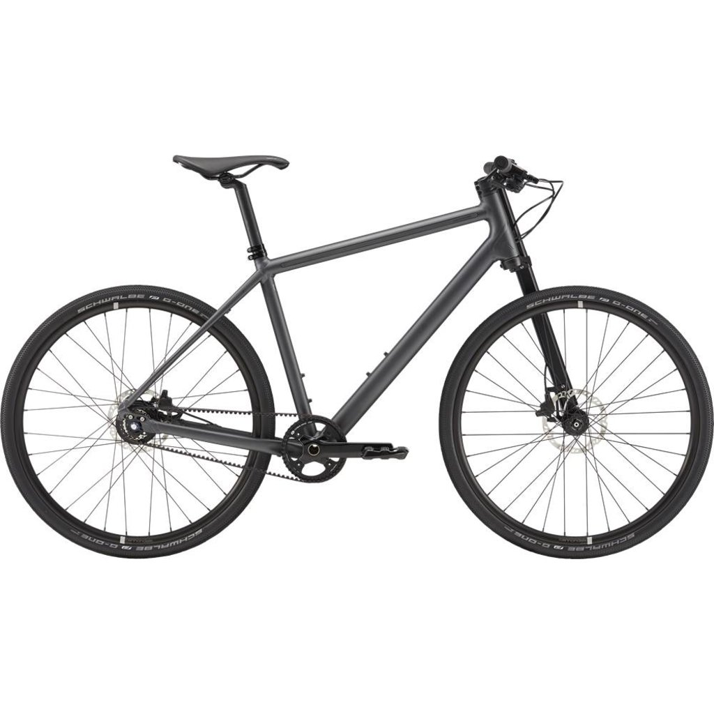 Cannondale Bad Boy Commuter Bike