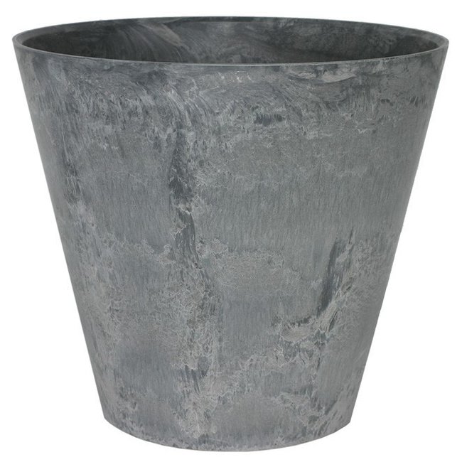 Dracaena White Stripe in Artstone pot