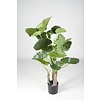 Kunstplant Alocasia in Rattan