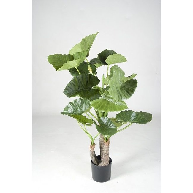 Kunstplant Alocasia in Rattan