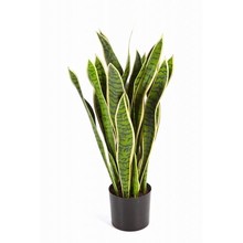 Sansevieria var. kunstplant