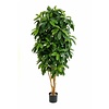 Schefflera  kunstplant