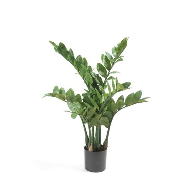 Kunstplant Zamioculcas in Pure Rond S