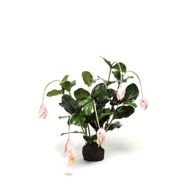 Medinilla roze L kunstplant