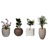 Planter oval white