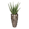 Aloe vera in Schelpen Pot Exclusive