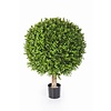 Kunstplant Buxus in Elho Pure Soft