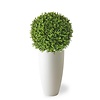 Kunstplant Buxus in Elho Pure Soft Small