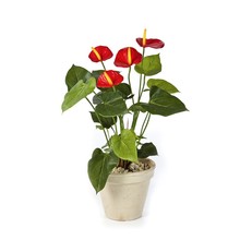 Anthurium rood kunstplant