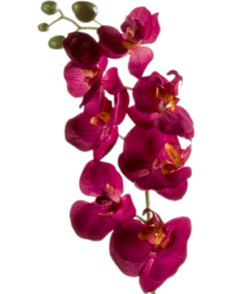 Phalaenopsis rode kunstbloem
