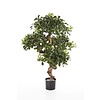 Pittosporum mountain kunstplant