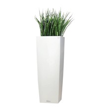 Lechuza Sansevieria in zelfwatergevende pot Wit