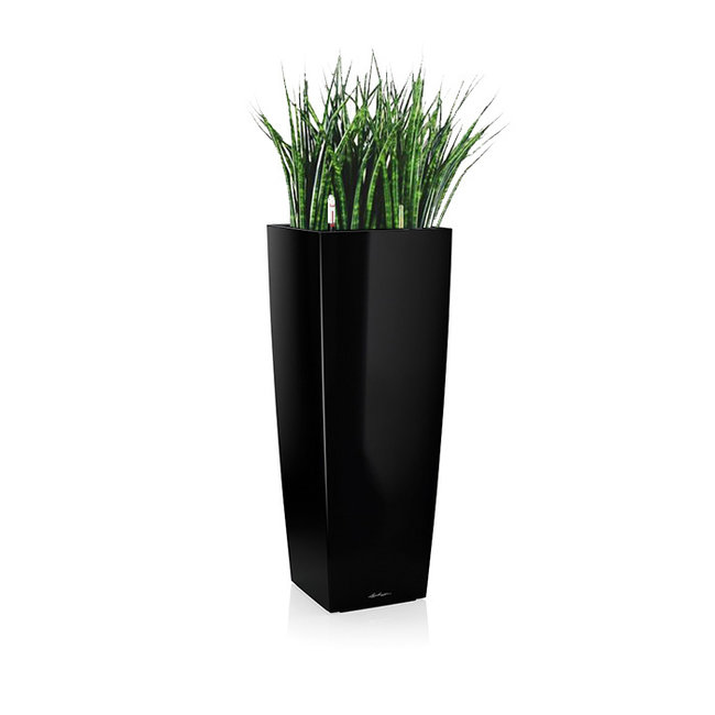 Sansevieria in zelfwatergevende pot Wit