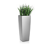 Sansevieria in zelfwatergevende pot Wit