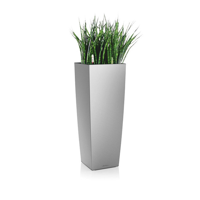 Sansevieria in zelfwatergevende pot Wit