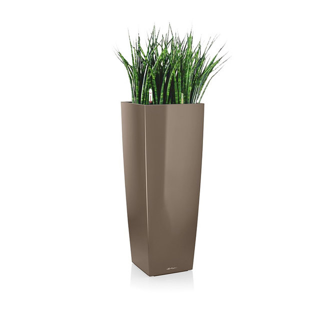 Sansevieria in zelfwatergevende pot Wit