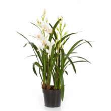 Cymbidium Orchid kunstplant
