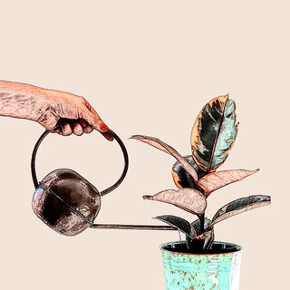 Arrosage informations générales