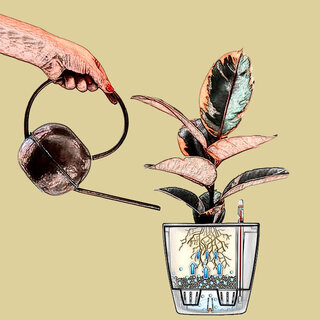 Système d'arrosage Lechuza