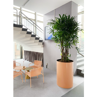 Afbeelding 3 project Antwerpen Afbeelding 3 project Antwerpen