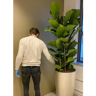 Figure 2 Synsel Technique