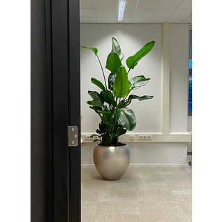 Image 3 Synsel Techniek