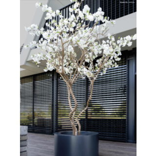 Plantes artificielles