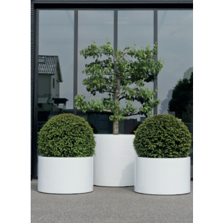 Plantation extérieure