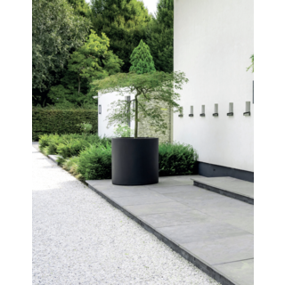 Afbeelding 5 buitenbeplanting Afbeelding 5 buitenbeplanting