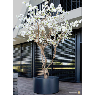 Image 1 plantes artificielles