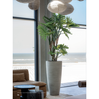 Image 5 plantes artificielles