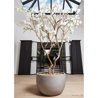 Image 6 plantes artificielles