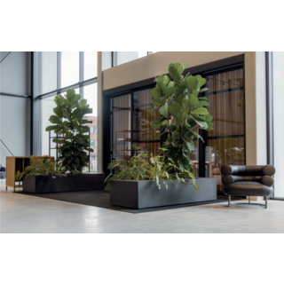 Afbeelding 2 losse beplanting