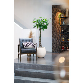 Image 4 plantation lâche