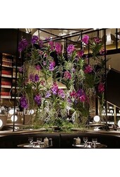 Vanda violette dans un vase à champagne