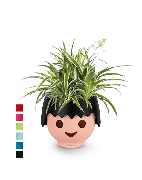 Lechuza Ojo | Spiderplant Ocean
