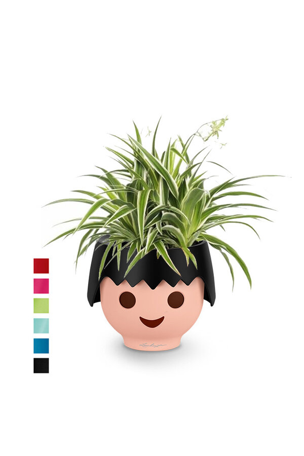 Spiderplant Ocean in Ojo Kids Pot