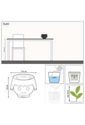 Spiderplant Ocean in Ojo Kids Pot
