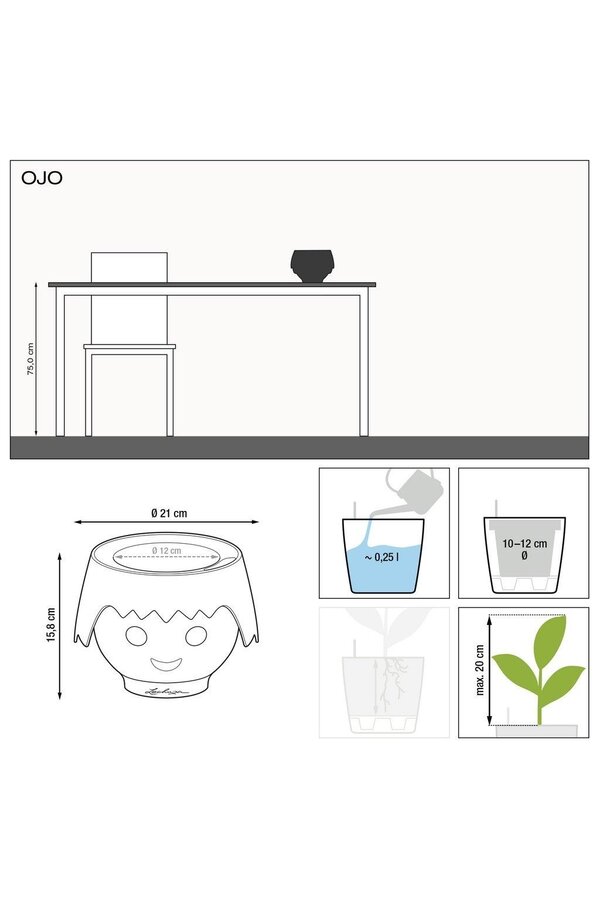 Spiderplant Ocean in Ojo Kids Pot