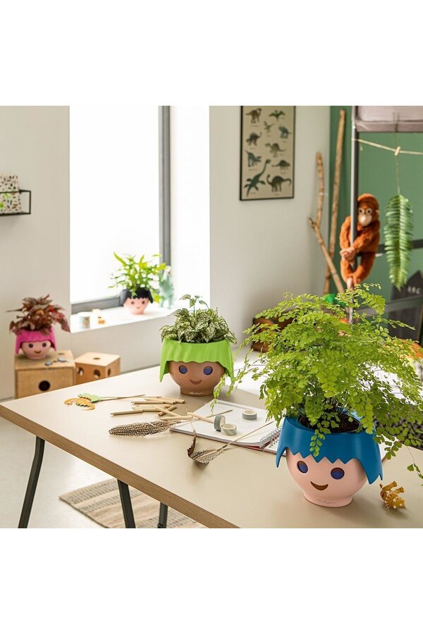Spiderplant Ocean in Ojo Kids Pot