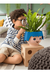 Spiderplant Ocean in Ojo Kids Pot
