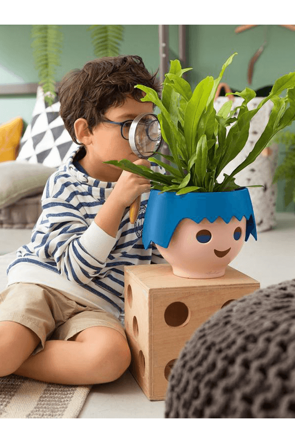Spiderplant Ocean in Ojo Kids Pot