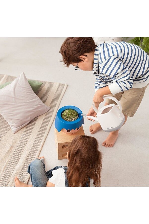 Spiderplant Ocean in Ojo Kids Pot