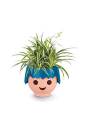 Spiderplant Ocean in Ojo Kids Pot