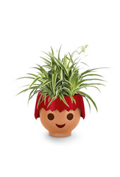 Spiderplant Ocean in Ojo Kids Pot